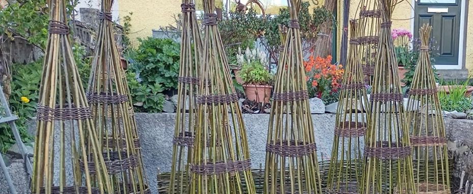 Natural Willow Plant Supports with Willowpool