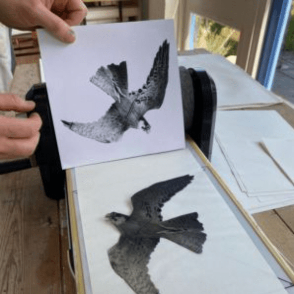 Creative Card Collagraph Workshop with Jenny McCabe | 2 Day Course