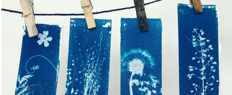 Exploring Cyanotype, Printing with Light with Kim Tillyer